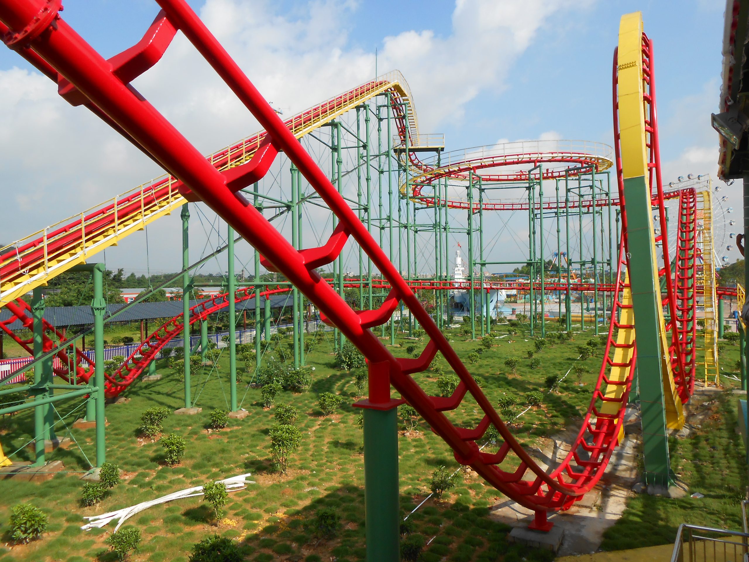 Purchasing Amusement Park Roller Coaster 