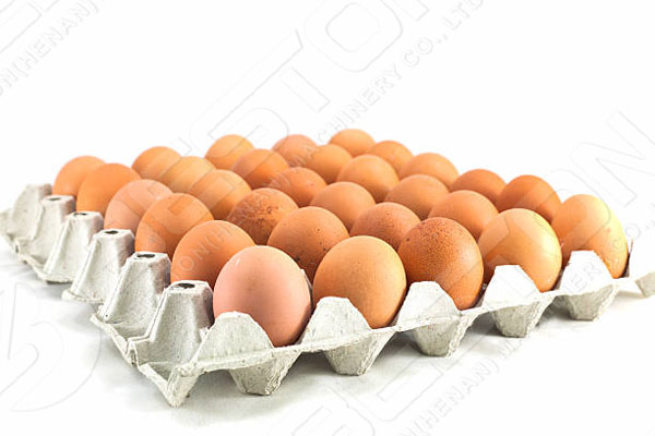 Paper Egg Tray